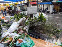 [ẢNH] Trời mưa, tiểu thương vứt bỏ đào quất, đường phố ngập xác hoa...