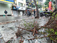 [ẢNH] Trời mưa, tiểu thương vứt bỏ đào quất, đường phố ngập xác hoa...