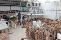 Cận cảnh chợ đồ cũ ở dưới chân cầu Thăng Long