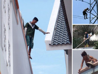 1001 hành vi quái dị của những kẻ ngáo đá 