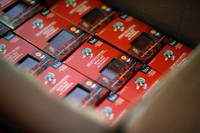 [ẢNH] Khám phá việc thu hoạch Saffron – 