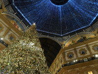 [ẢNH] Choáng ngợp trước những cây thông Noel đắt giá nhất thế giới