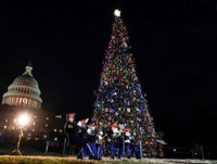 [ẢNH] Choáng ngợp trước những cây thông Noel đắt giá nhất thế giới