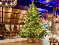 [ẢNH] Choáng ngợp trước những cây thông Noel đắt giá nhất thế giới