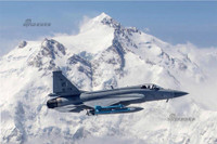 [ẢNH] Chiến đấu cơ mới bán giá chỉ bằng 1/2 xe tăng, chuyện chỉ có ở Trung Quốc