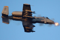 [ẢNH] Mỹ tự tay chặt đứt 