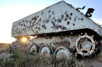 [ẢNH] Mỹ tự tay chặt đứt 