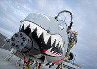 [ẢNH] Mỹ tự tay chặt đứt 