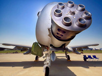 [ẢNH] Mỹ tự tay chặt đứt 