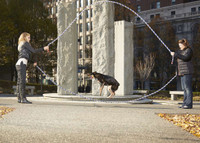 [ẢNH] Bất ngờ với những tiết lộ về kỷ lục Guinness thế giới 2019