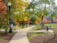 [ẢNH] Bất ngờ với thu nhập 