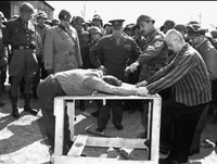 Ký ức về thảm họa Holocaust, cuộc tàn sát ghê rợn của Đức quốc xã