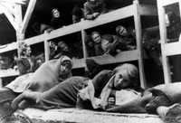 Ký ức về thảm họa Holocaust, cuộc tàn sát ghê rợn của Đức quốc xã