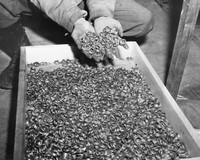 Ký ức về thảm họa Holocaust, cuộc tàn sát ghê rợn của Đức quốc xã