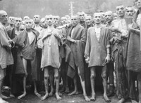 Ký ức về thảm họa Holocaust, cuộc tàn sát ghê rợn của Đức quốc xã