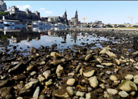 [ẢNH] Không riêng gì Việt Nam, các nước châu Âu cũng khô quắt với nắng nóng hè này