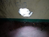 Thành phố Marawi hoang tàn sau khi Philippines chiến thắng khủng bố