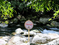 Suối nước Moọc, điểm đến không thể bỏ qua ở Quảng Bình