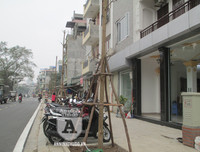 Ngắm con đường mới thành hình, đẹp lãng mạn giữa Thủ đô