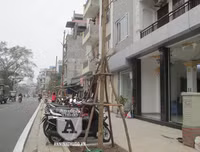 Ngắm con đường mới thành hình, đẹp lãng mạn giữa Thủ đô