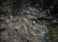 [ẢNH] Nghề không dành cho những người yếu tim: Lấy mật ong rừng ở Trung Quốc