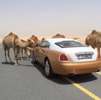 [ẢNH] Hội con nhà giàu Dubai làm điên đảo mạng xã hội vì mức sang chảnh không ai bì kịp