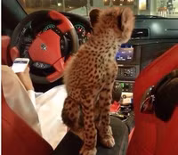 [ẢNH] Hội con nhà giàu Dubai làm điên đảo mạng xã hội vì mức sang chảnh không ai bì kịp