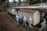 [ẢNH] Tổng thống Trump tìm người đổ lỗi khi dịch bệnh Covid-19 diễn biến nghiêm trọng