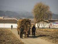 Chùm ảnh hiếm về cuộc sống đời thường ở vùng nông thôn Triều Tiên