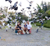 Thu hút hàng vạn lượt khách, vườn thú bán hoang dã tại Quy Nhơn có gì lạ?