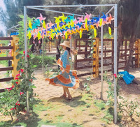 Thu hút hàng vạn lượt khách, vườn thú bán hoang dã tại Quy Nhơn có gì lạ?