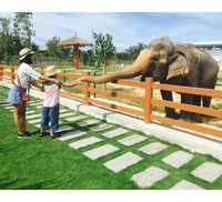 Thu hút hàng vạn lượt khách, vườn thú bán hoang dã tại Quy Nhơn có gì lạ?