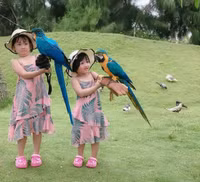 Thu hút hàng vạn lượt khách, vườn thú bán hoang dã tại Quy Nhơn có gì lạ?