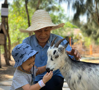 Thu hút hàng vạn lượt khách, vườn thú bán hoang dã tại Quy Nhơn có gì lạ?