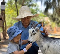 Thu hút hàng vạn lượt khách, vườn thú bán hoang dã tại Quy Nhơn có gì lạ?