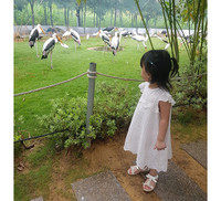 Thu hút hàng vạn lượt khách, vườn thú bán hoang dã tại Quy Nhơn có gì lạ?