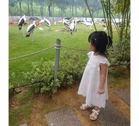 Thu hút hàng vạn lượt khách, vườn thú bán hoang dã tại Quy Nhơn có gì lạ?