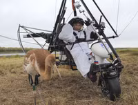 Những khoảnh khắc 