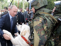 Những khoảnh khắc