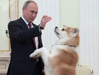 Những khoảnh khắc