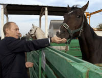 Những khoảnh khắc