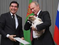 Những khoảnh khắc