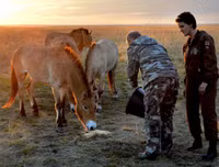 Những khoảnh khắc 