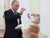 Những khoảnh khắc 