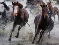 [Ảnh] Những điều bí ẩn, ít người biết về đất nước thưa dân nhất thế giới