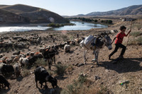 [ẢNH] Hành trình di chuyển thị trấn cổ 12.000 năm tuổi để phục vụ tham vọng thủy điện của Thổ Nhĩ Kỳ