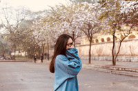 Hà Nội đẹp dịu dàng mùa hoa tháng 3