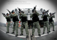 [ẢNH] Hải quân Hàn Quốc đưa nhóm tác chiến đặc biệt tới eo biển Hormuz gây áp lực lên Iran