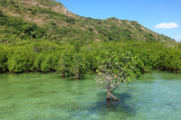 Khám phá mũi Tàu Bể bí ẩn ở Côn Đảo