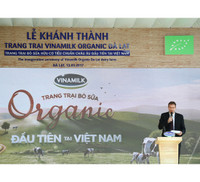 Khám phá trang trại Vinamilk Organic chuẩn châu Âu trên cao nguyên Đà Lạt